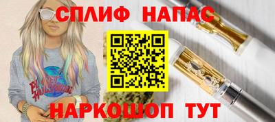 гидра Заводоуковск