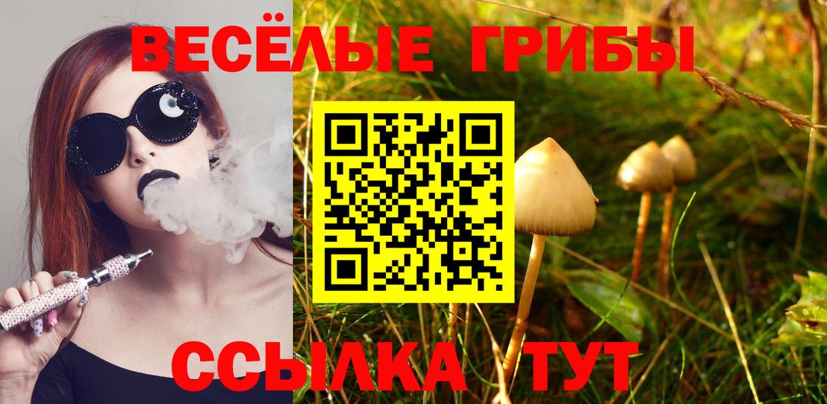 Галлюциногенные грибы GOLDEN TEACHER  Вход с VPN  Майский 