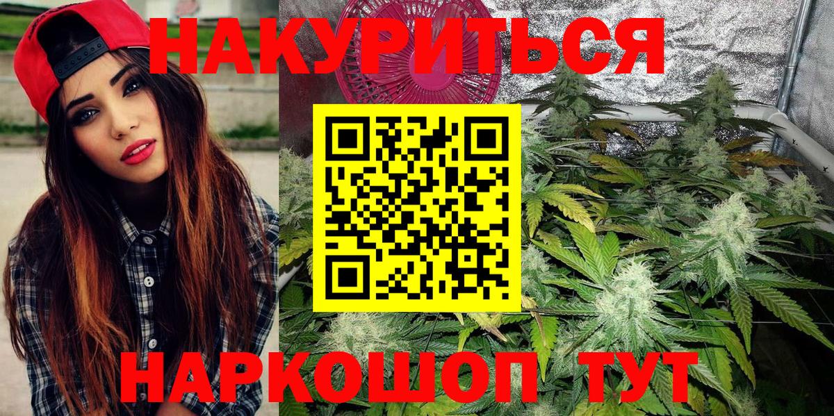Шишки марихуана сатива  Марихуана план  Шишки марихуана Bruce Banner  МАРИХУАНА MAZAR  Вход с VPN  Майский 